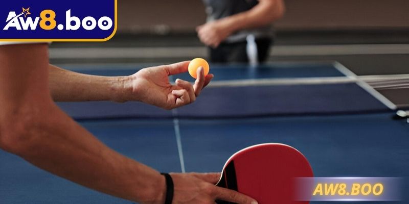 Các quy tắc bắt buộc trong luật chơi bóng bàn