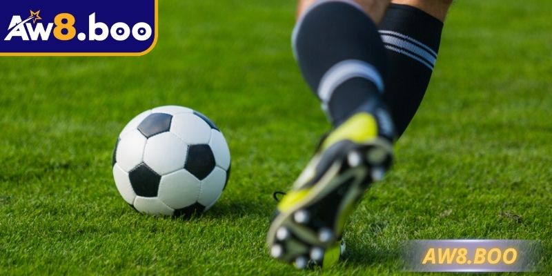 Nhiều người quan tâm về tỷ lệ kèo Malaysia